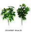 Schefflerabokor, PVC /41cm,*5/
