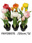 Cserepes,1 nyílott, 2 bimbós tulipán, gumi /25cm,*3/