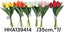 Kötegelt kis fejû bimbós szatén tulipán /35cm,*7/