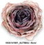 Pasztell hervadt, nyílt rózsafej /8cm/