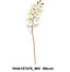 80 cm szálas RT. orchidea