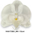 Szatén orchidea fej /12cm/