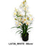 Cserepes orchidea /80cm/