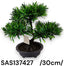 Cserepes bonsai fa /30cm/
