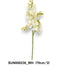 Szálas kisfejû orchidea /70cm,*2/