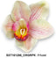 Cymbidium orchideafej /11cm/