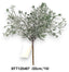 Havas, flitteres tuja pick /20cm,*10/