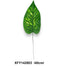Mintás kis dieffenbachia levél /40cm/