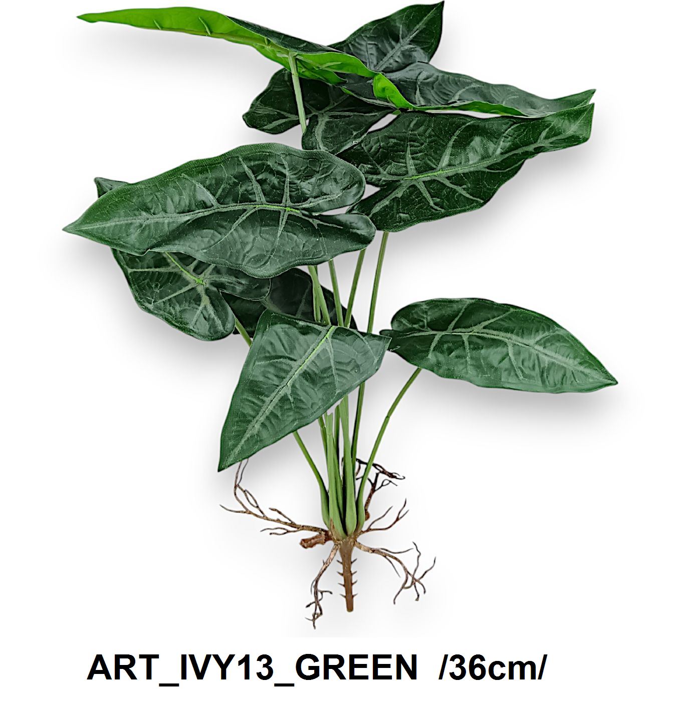 ART_IVY13_GREEN