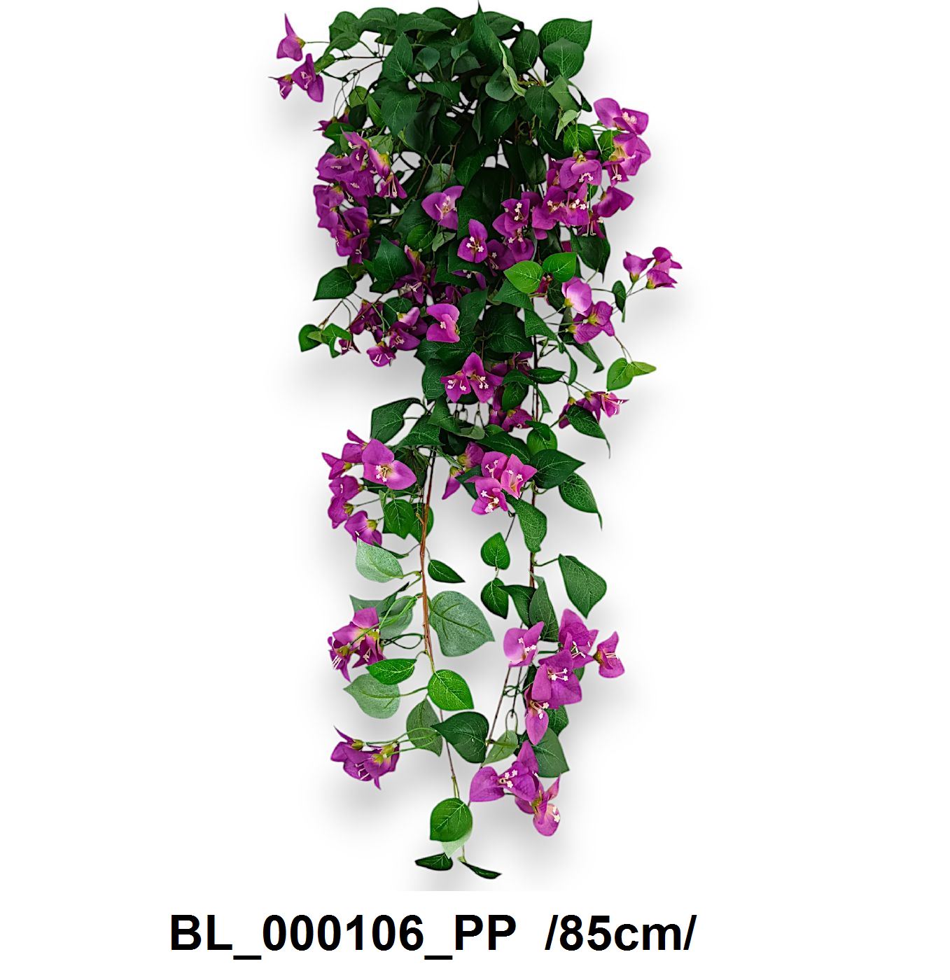 Bougainvillea futó /85cm/