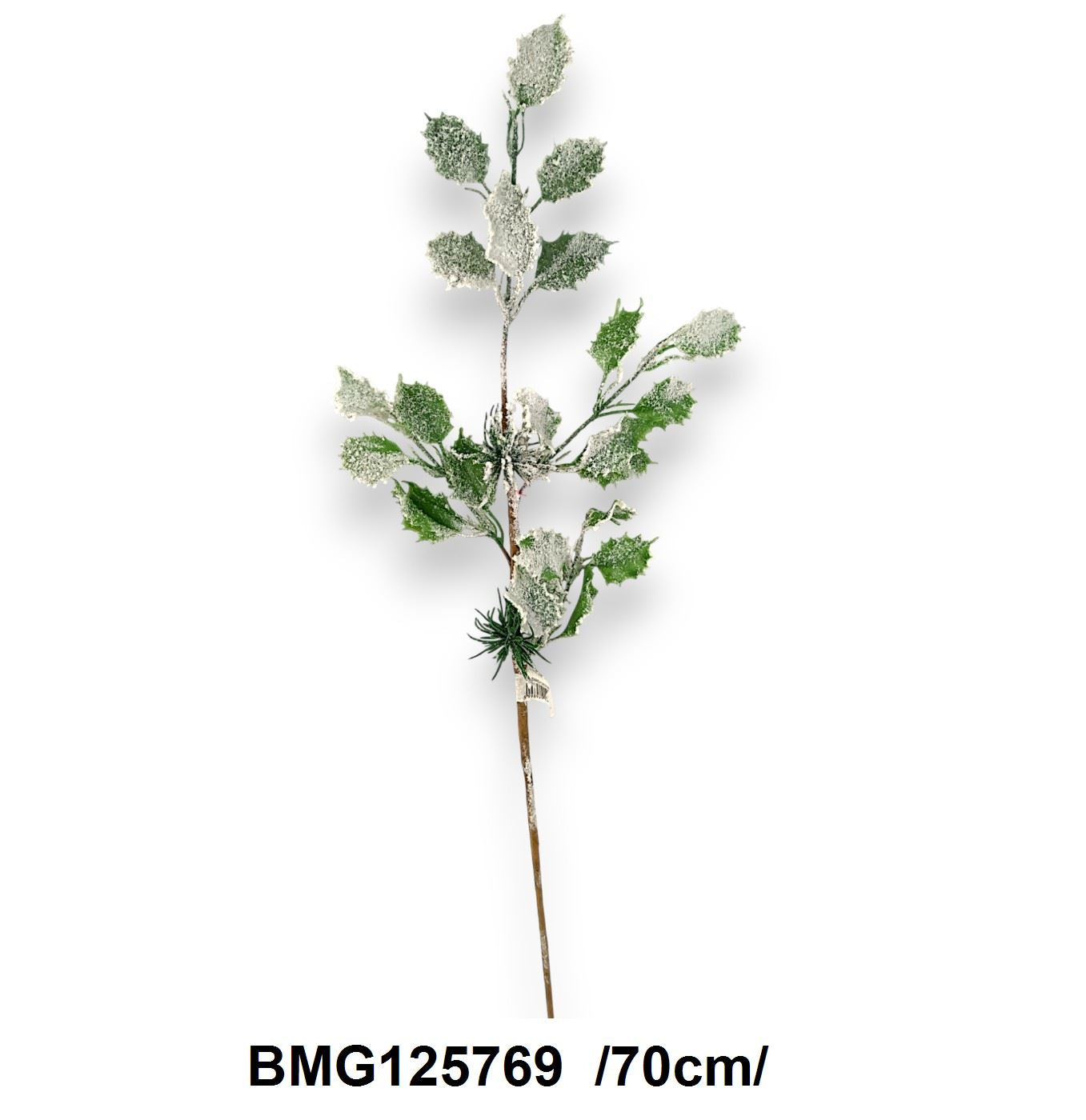 Havas ilex leveles ág /70cm/