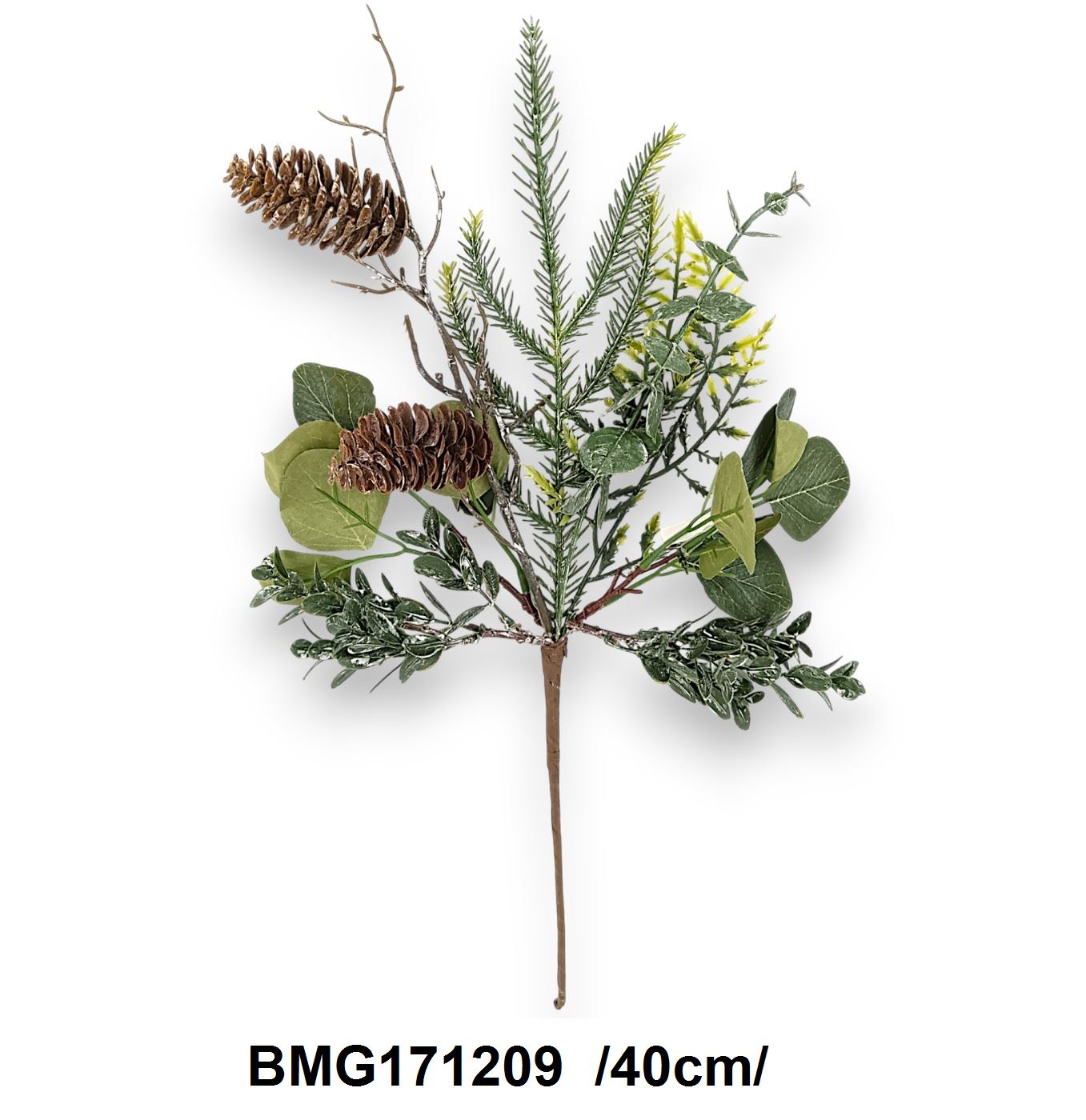 Különbözõ zöld leveles, eukaliptusz ág, tobozzal /40cm/ Fő kép