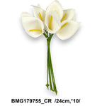 BMG179755_CR