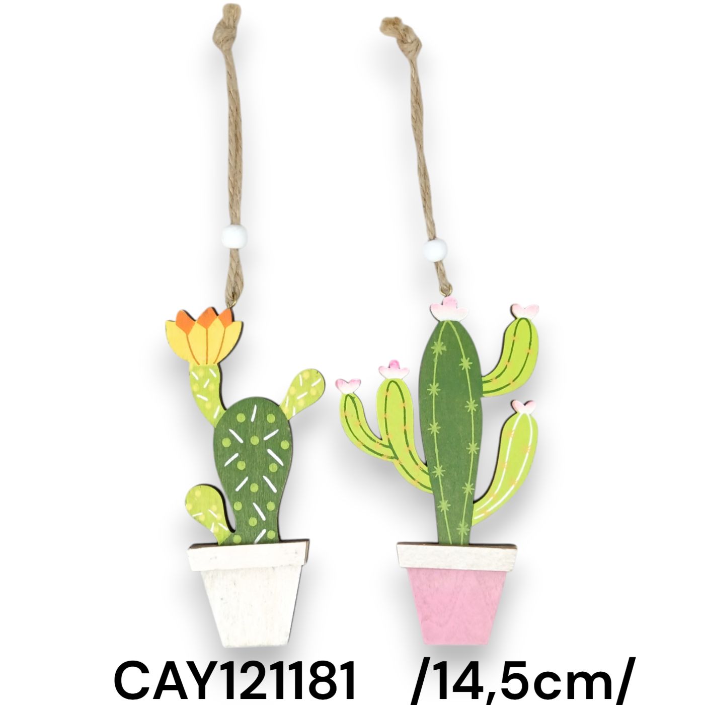 Fa kaktusz /14,5cm/ Fő kép