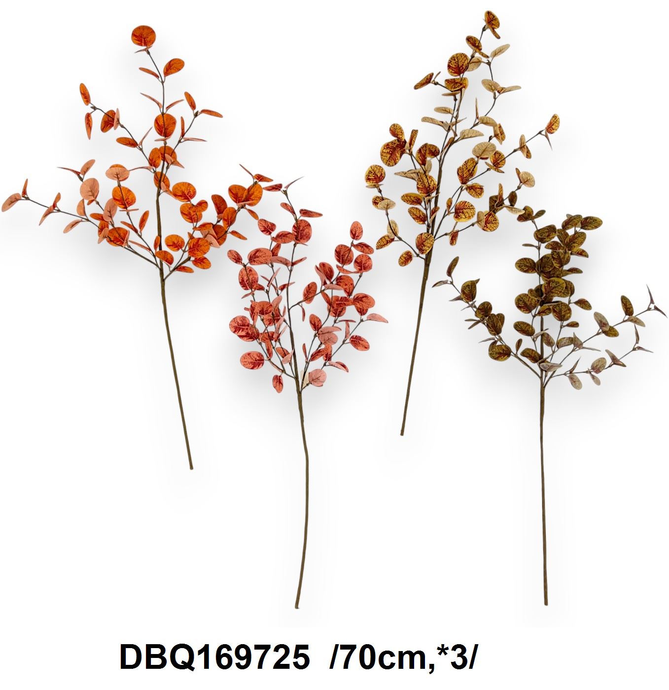 Eukaliptusz ág /70cm,*3/ Fő kép