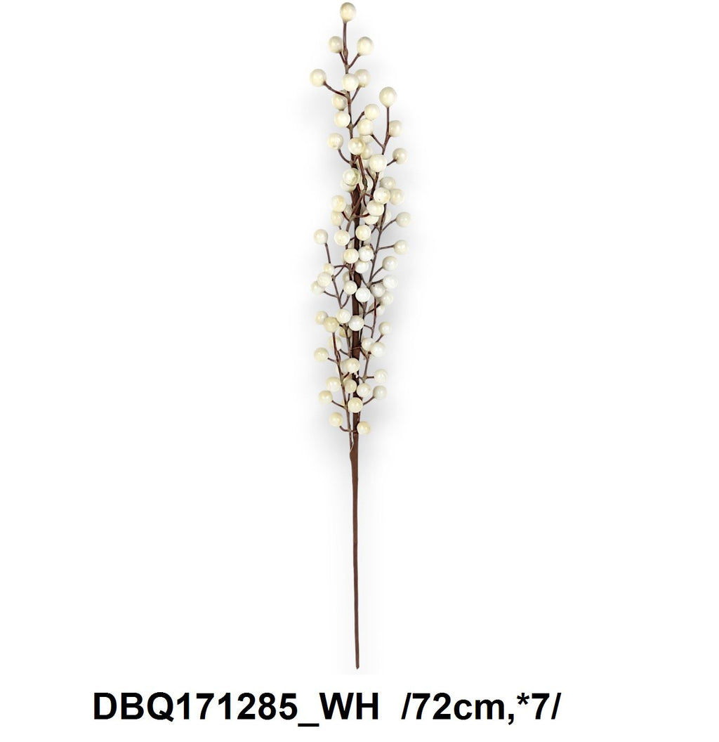 DBQ171285_WH