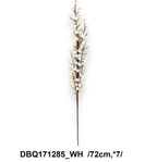 DBQ171285_WH