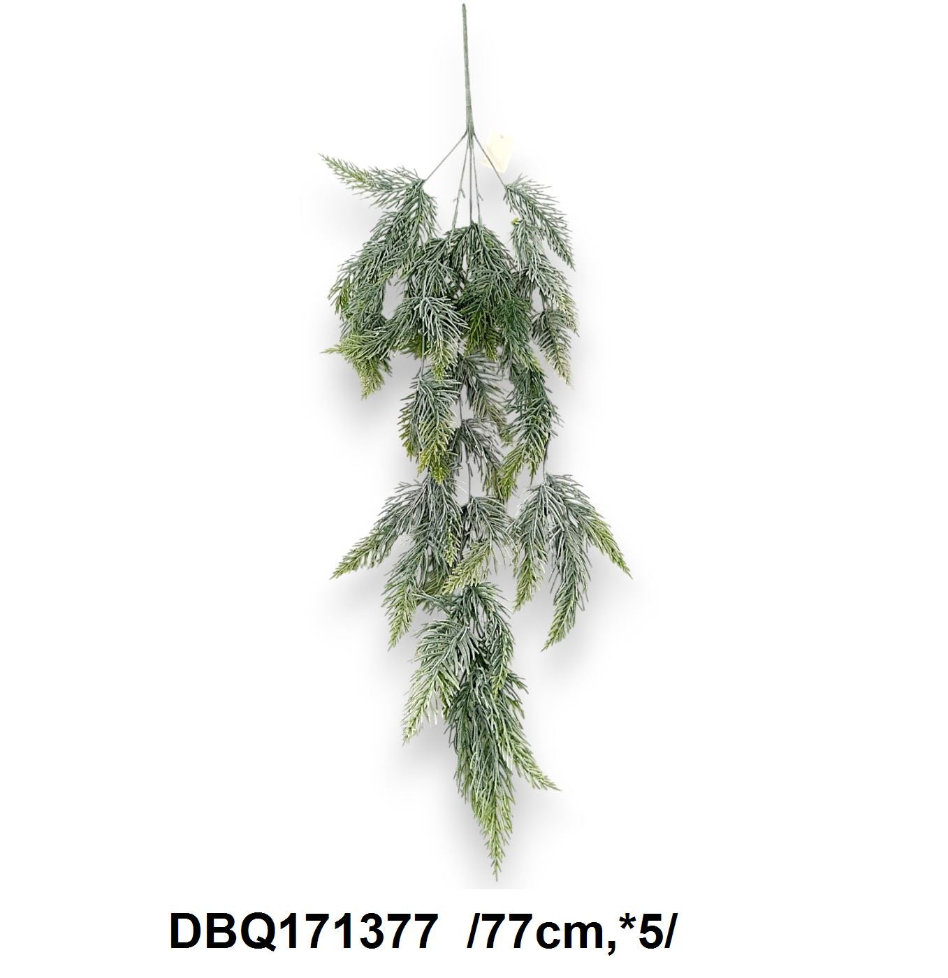 Hamvas fenyõ futó /77cm,*5/ Fő kép