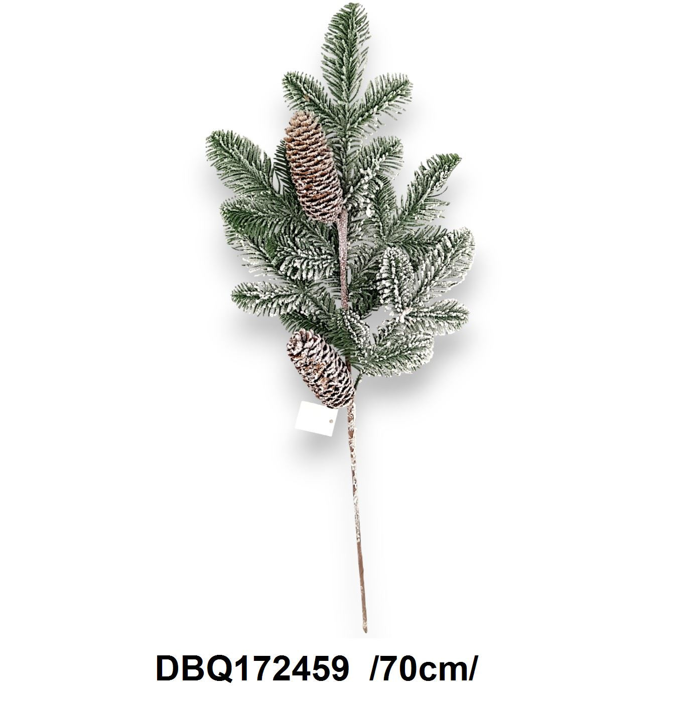 Havas fenyôág, 2 tobozzal /70cm/ Fő kép