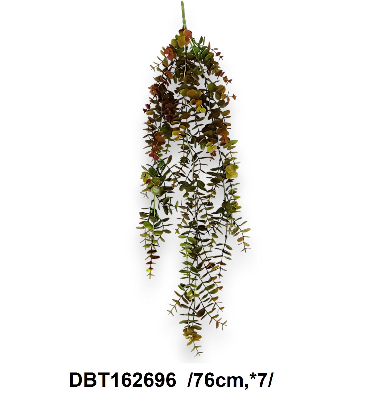 Ekualiptusz futó /76cm,*7/
