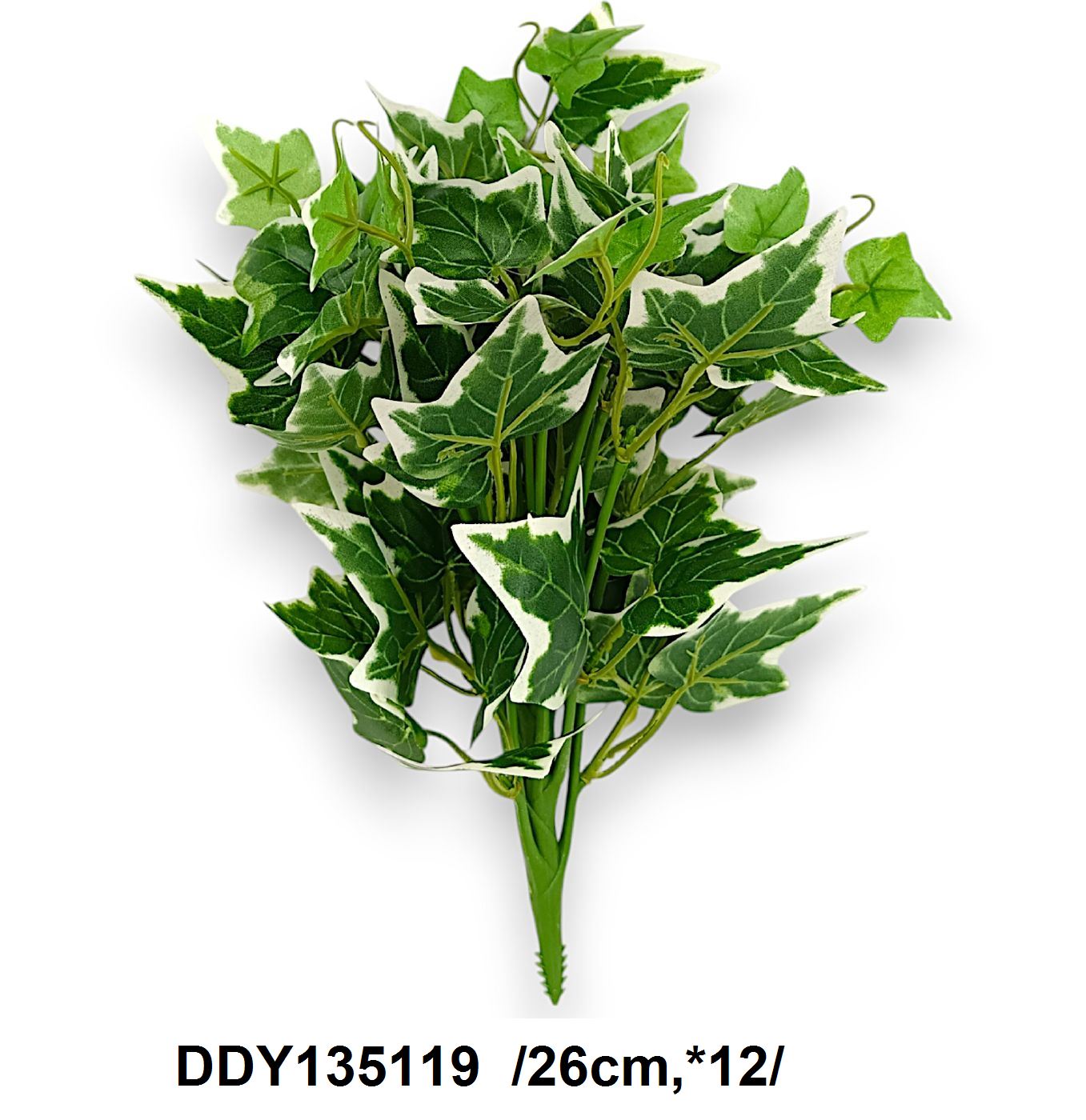 Borostyán bokor /26cm,*12/ Fő kép