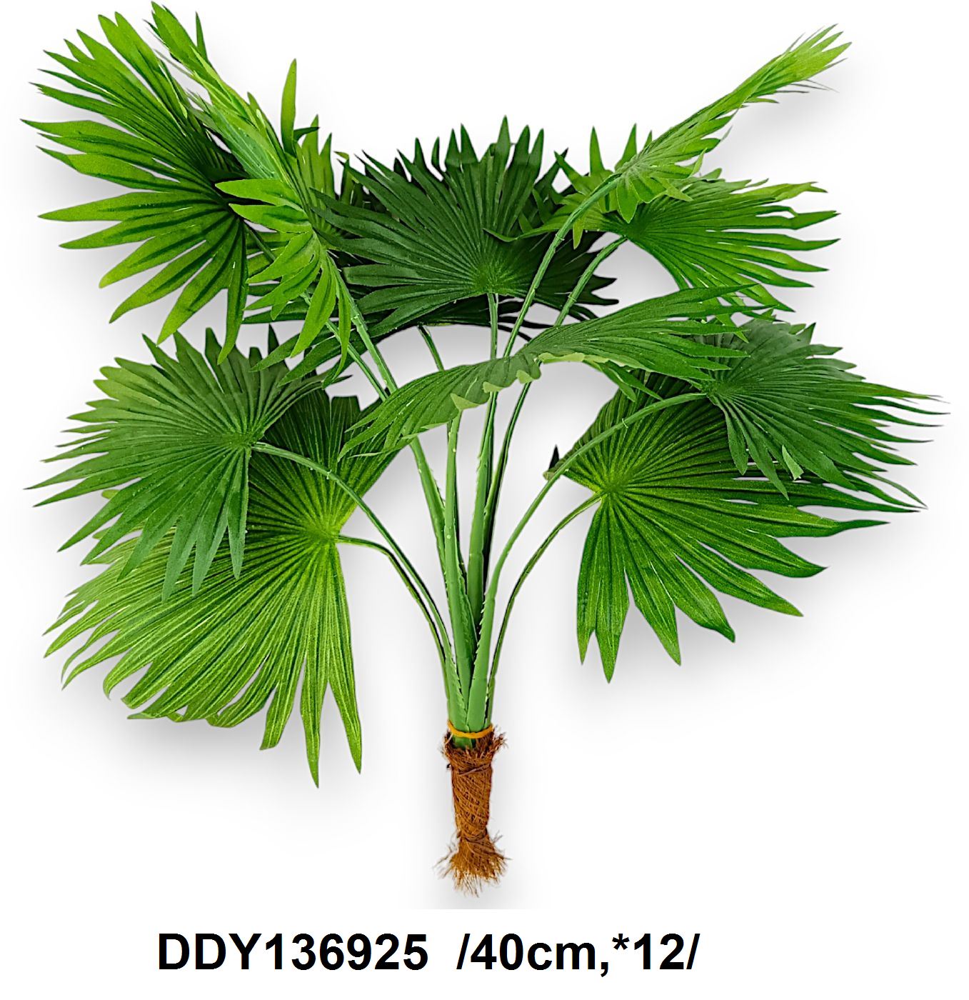 Legyezõpálma bokor /40cm,*12/
