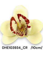 DHE103934_CR