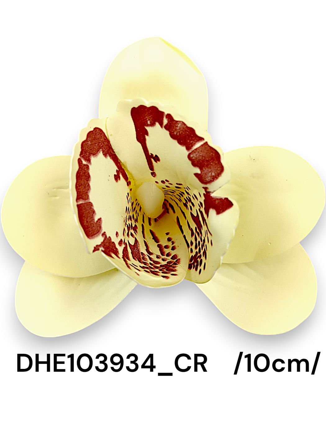 DHE103934_CR