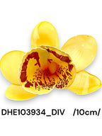 DHE103934_DIV