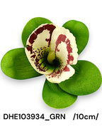 DHE103934_GRN