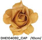 DHE104092_CAP