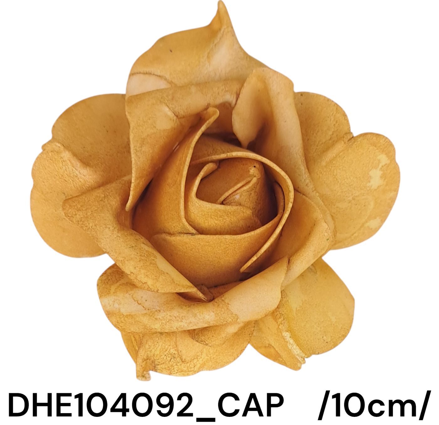 DHE104092_CAP