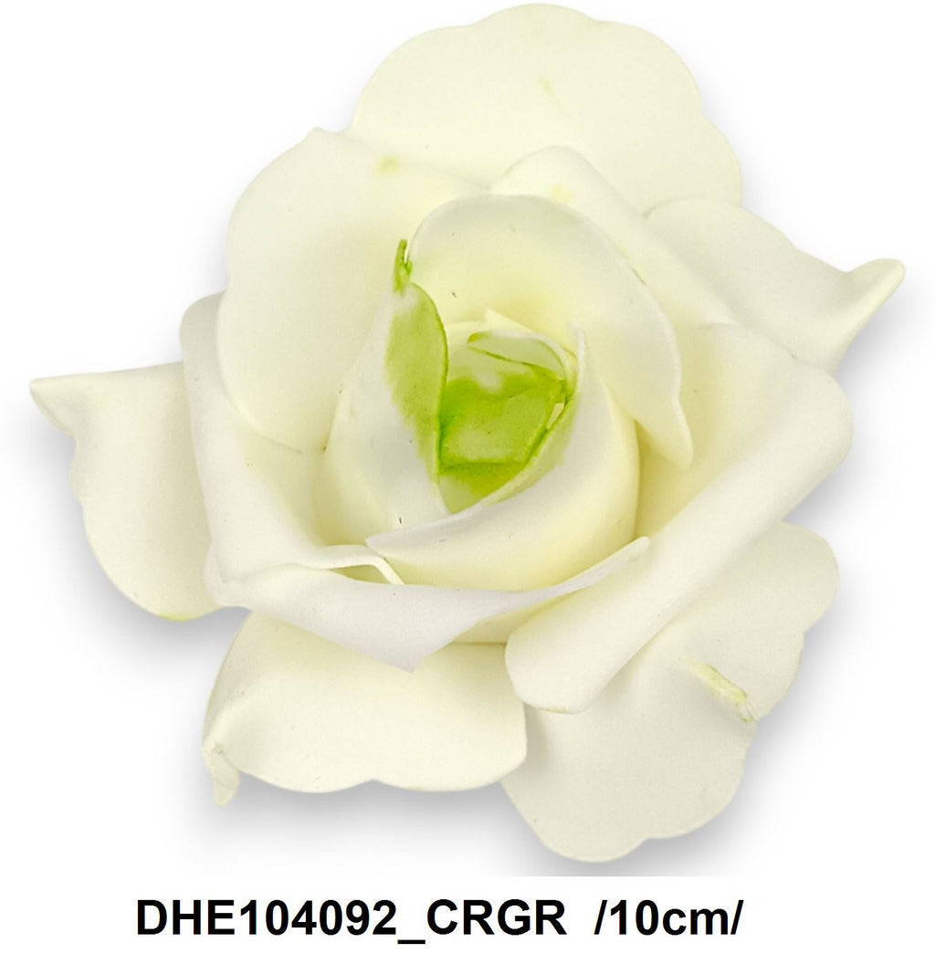 DHE104092_CRGR