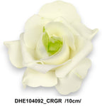 DHE104092_CRGR