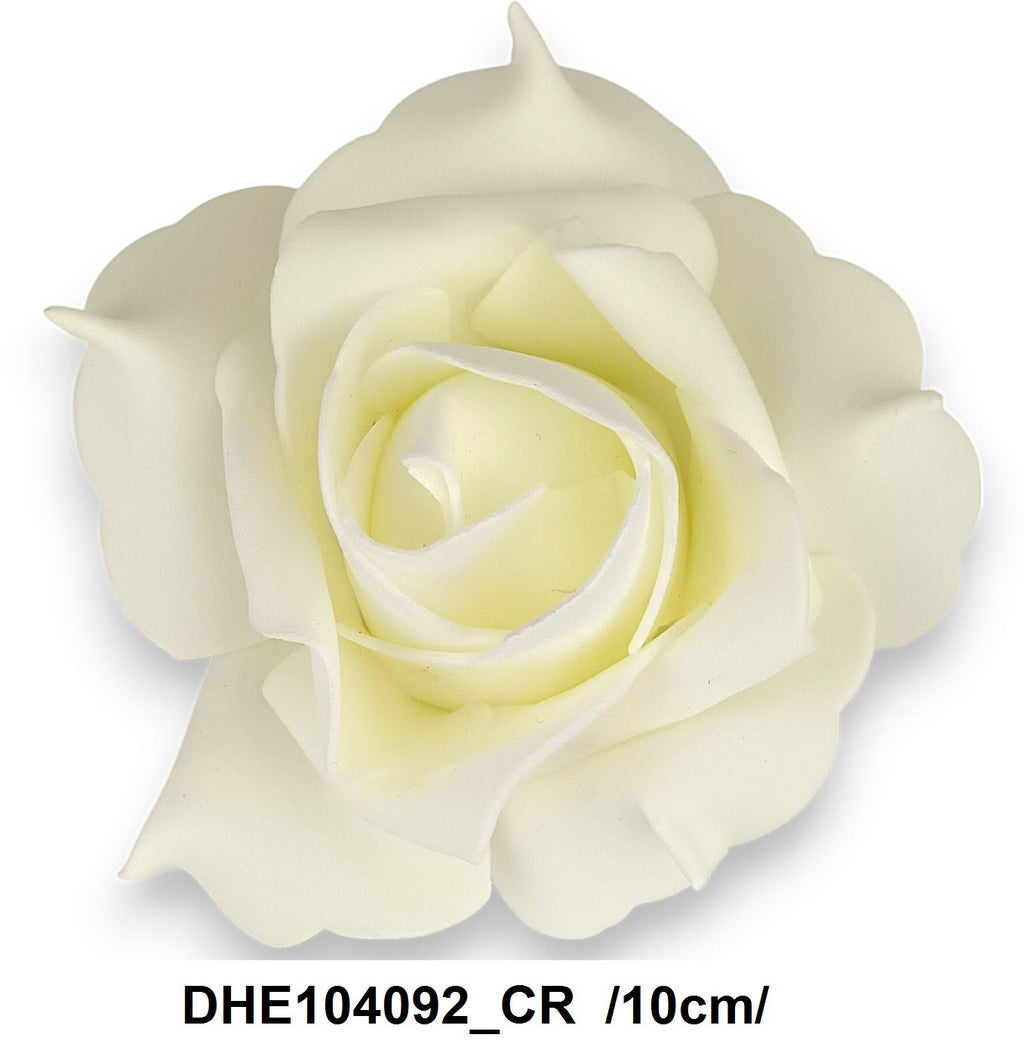 DHE104092_CR