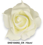 DHE104092_CR