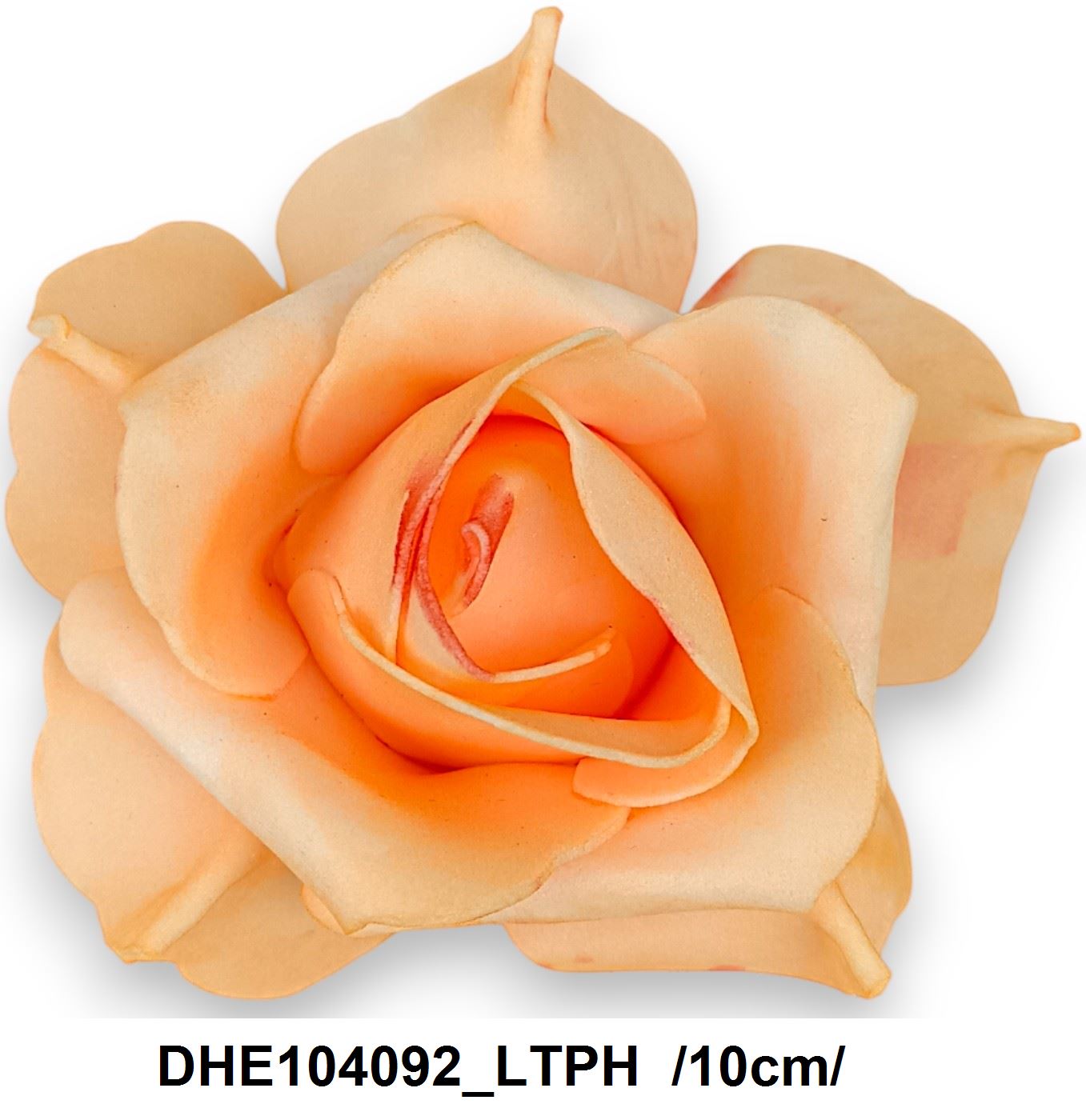 DHE104092_LTPH