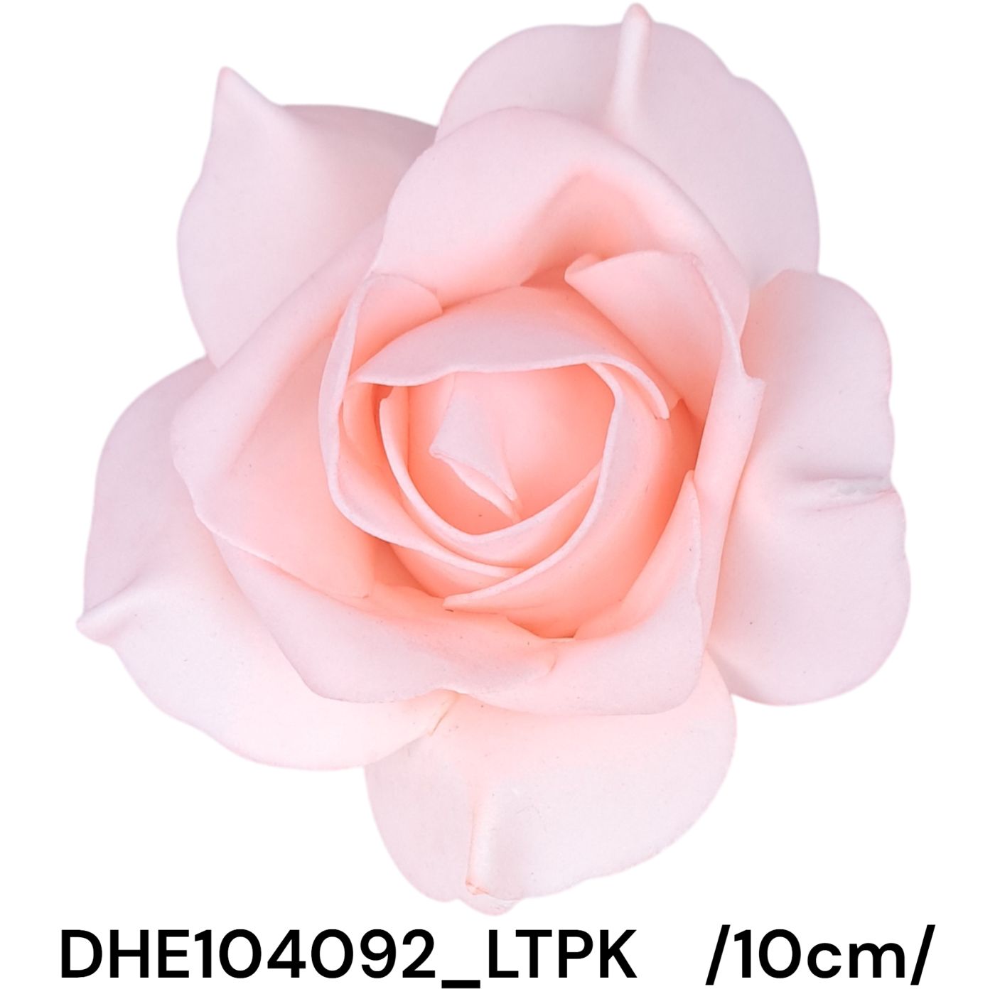 DHE104092_LTPK