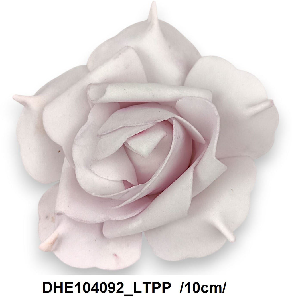 DHE104092_LTPP