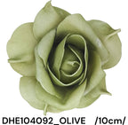 DHE104092_OLIVE_