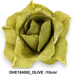 DHE104092_OLIVE