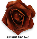 DHE108113_BRW