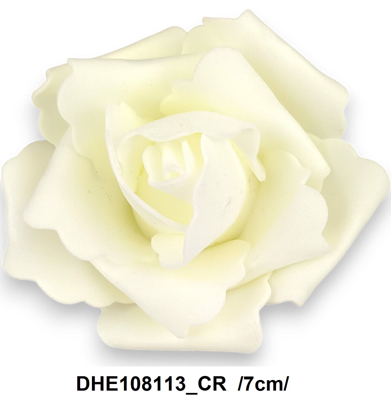 DHE108113_CR