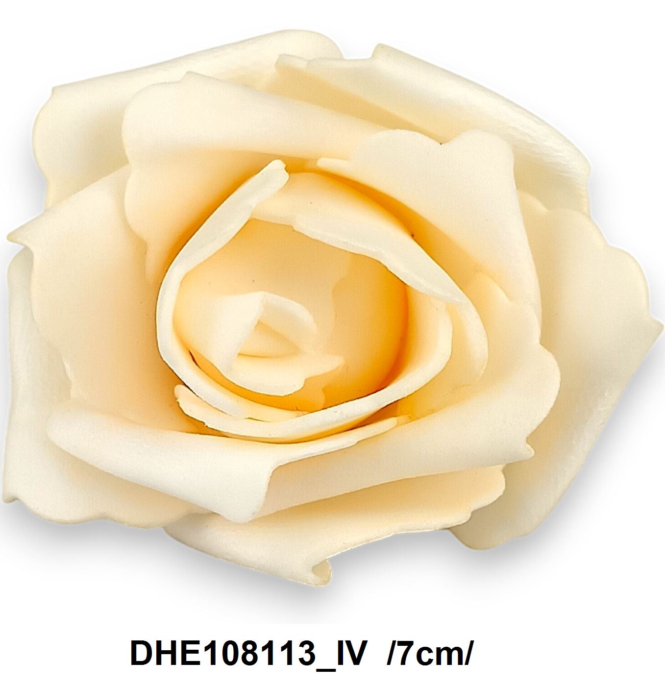 DHE108113_IV