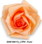 DHE108113_LTPH