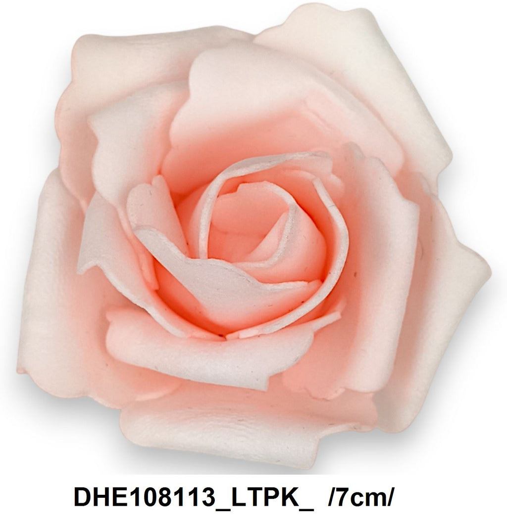 DHE108113_LTPK_