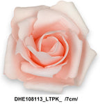 DHE108113_LTPK_