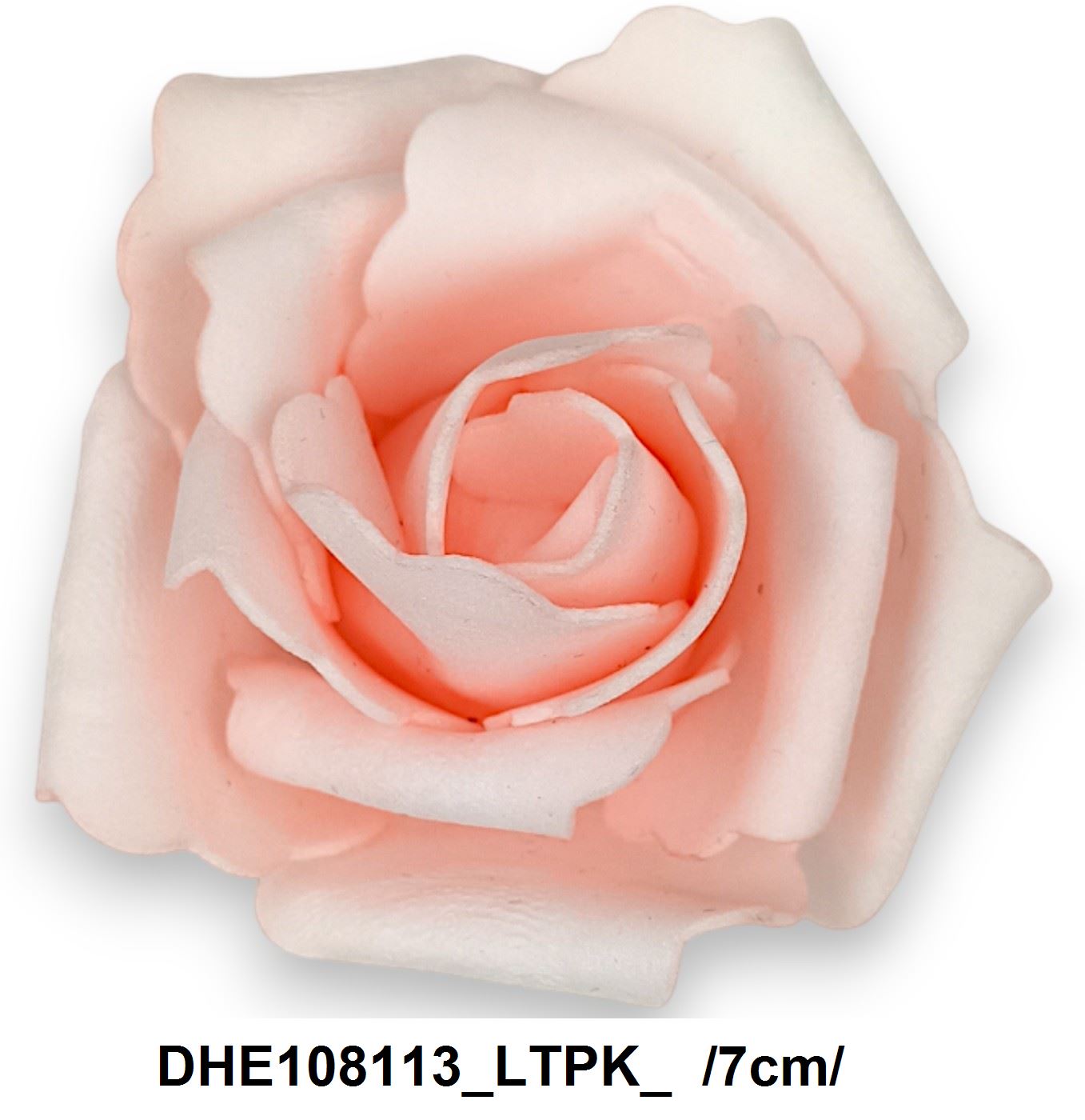 DHE108113_LTPK_