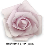 DHE108113_LTPP_