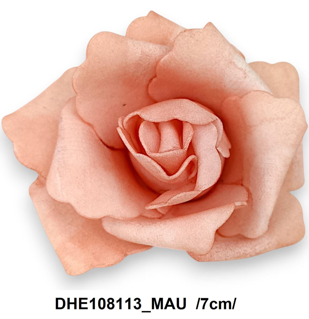 DHE108113_MAU
